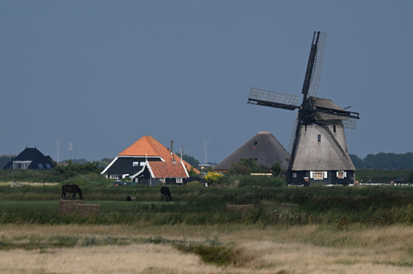 molen in de polder