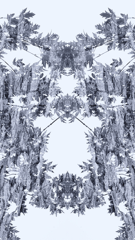 Monsters in the house