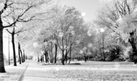 Winter landschap