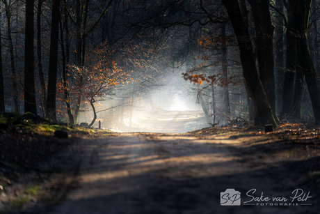 Licht aan het Einde