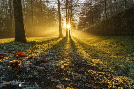 Zonnestralen