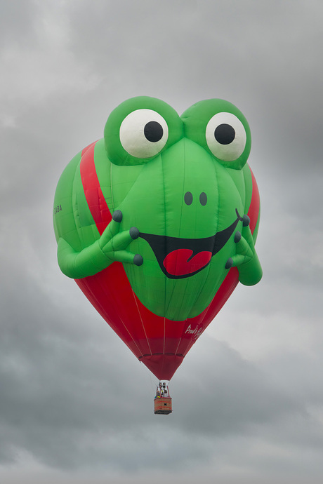 Kikker in de lucht
