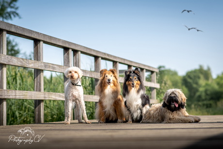 Wandeling met onze vriendjes