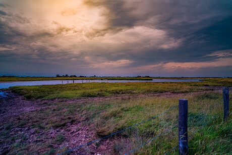 Landschap Eiland Tholen