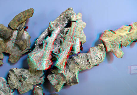 Skeleton Fin-whale NHM-Rotterdam 3D 