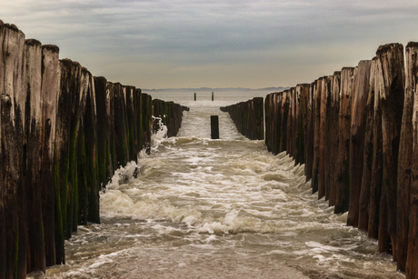 Monding Westerschelde