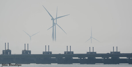 Molens in de mist