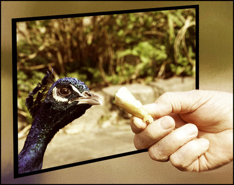 iets lekkers...........................
