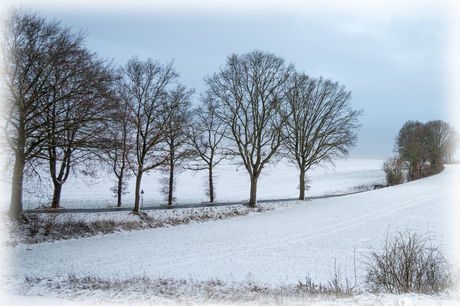 Heuvellandschap Zuid-Limburg