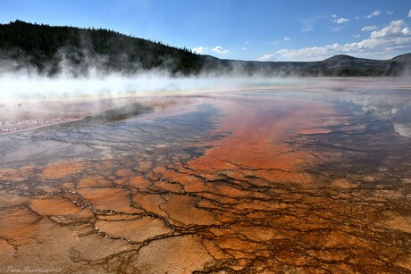Wonders of Yellowstone