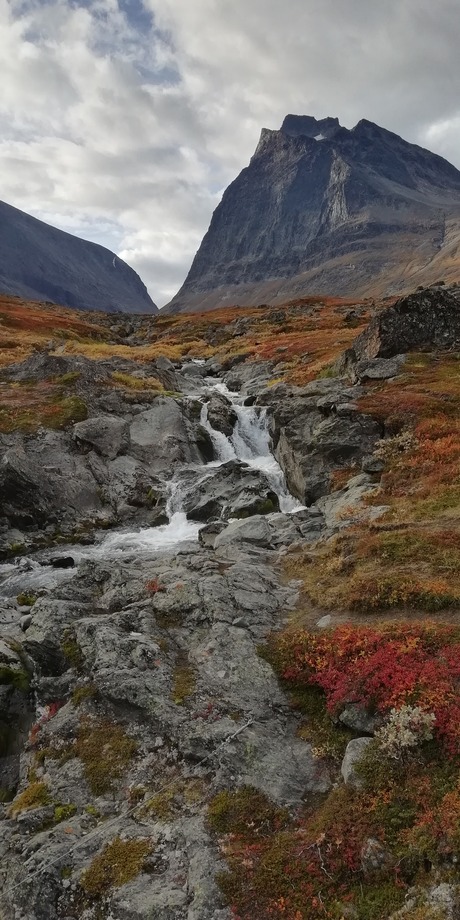 Kungsleden