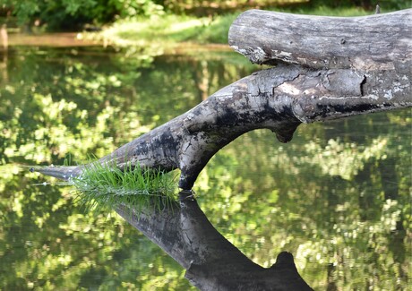 Kracht van de stille natuur 