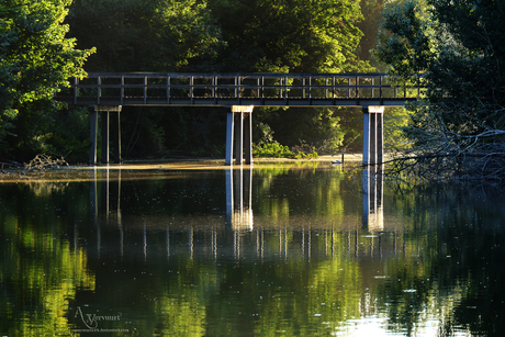 Brug halfweg grote vijver 