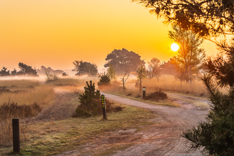 misty morning