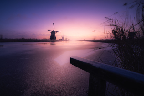 Kinderdijk in de vroege ochtend