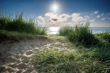 Strand Bloemendaal aan zee
