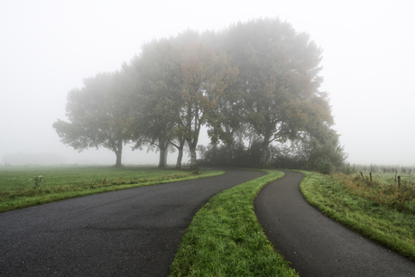 Weggetje Ooijpolder