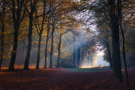 fietser in de herfst