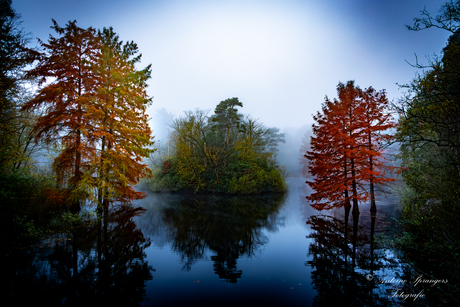 Herfstkleuren