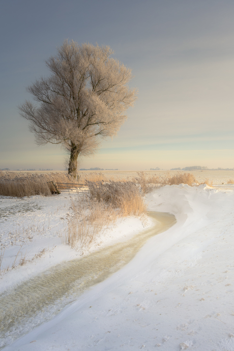 Winter yn Fryslân! VI