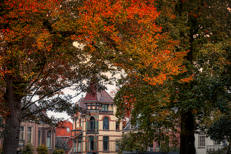 Herfst doorkijkje