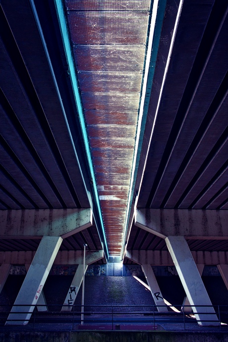 Spin onder het viaduct