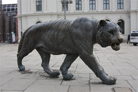 Tiger - Oslo