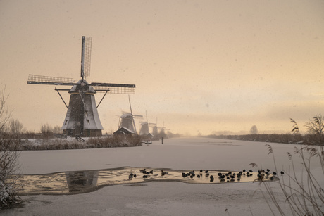 Kinderdijkse molens in de sneeuw