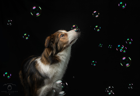 Bubbels! 
