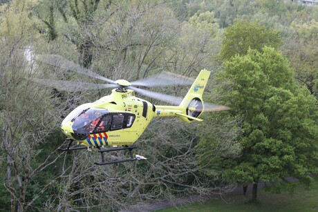 Heli