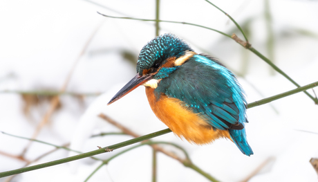 Winterse omstandigheden