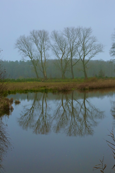 De weerspiegeling 