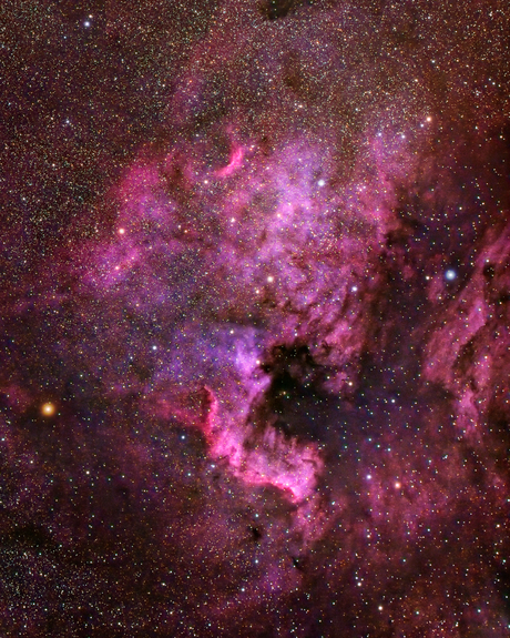 NGC 7000 Noord-Amerika nevel
