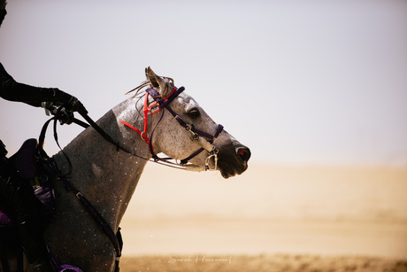 Endurance Competition Close-up