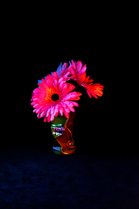 Bloemen met licht