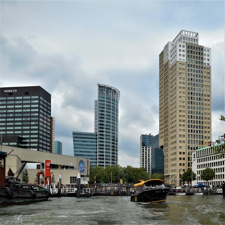 Rotterdam