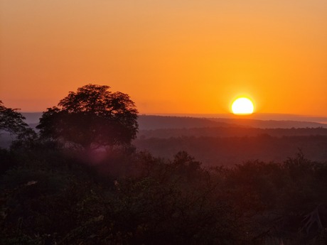 Zonsopkomst krugerpark.