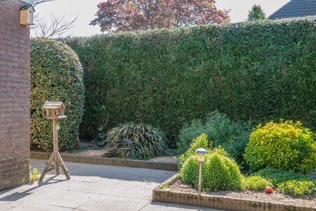 De rest v/h vogeldomein