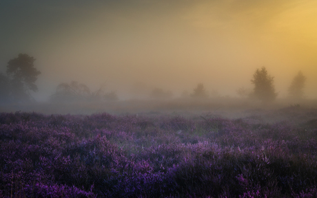 Zonsopkomst in de mist