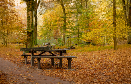 Het mooiste jaargetijde