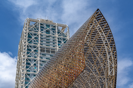 De Walvis (El Peix d'Or Frank Gehry) in Barcelona