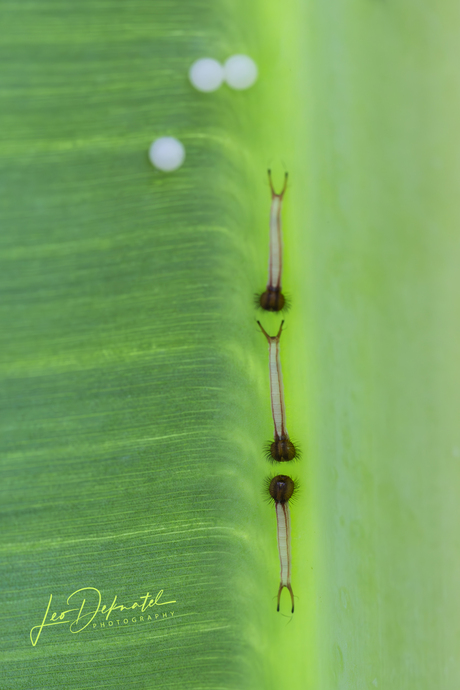 🌱🦋 Waar wonderen klein beginnen 🌱🦋