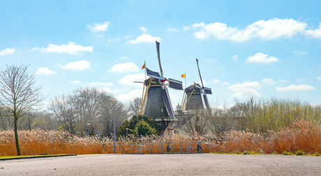 Kralinseplas Molens