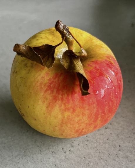 Het begon met een appel……..