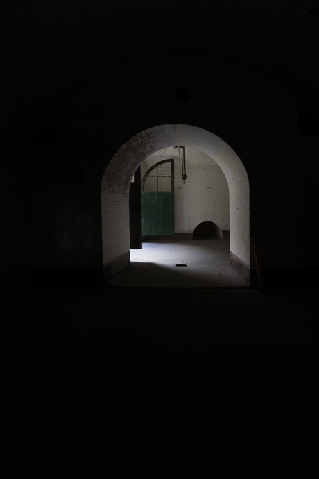 Fort Honswijk vleermuizen