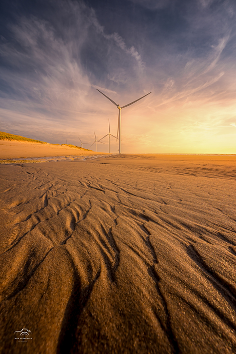 Gouden uurtje Maasvlakte