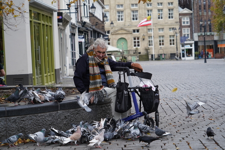 Onrust tussen de duiven