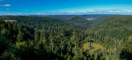 Ellbachseeblick