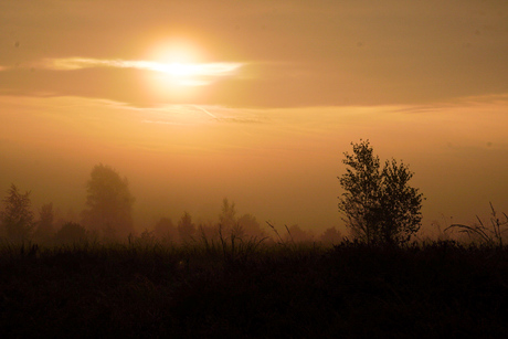 Zonsopkomst ...