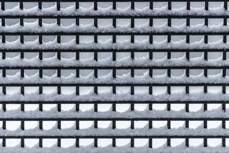 Patronen in de natuur